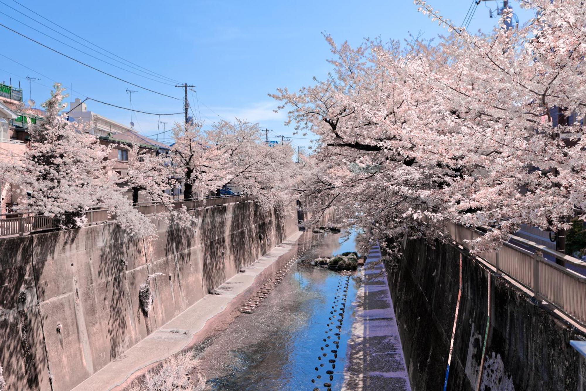Calm Riverside Inn Close To Ikebukuro Токіо Екстер'єр фото